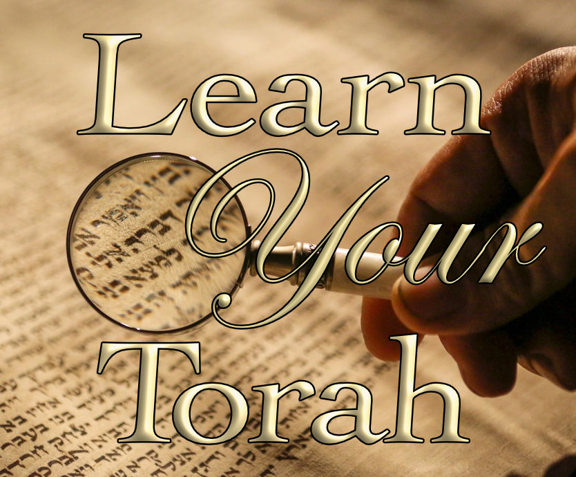 Learn Your Torah